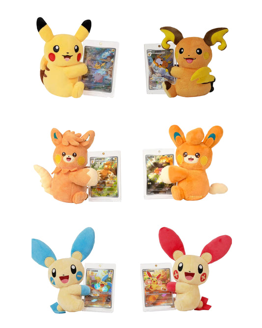 Pokémon Chinese Plush and Card Blind Box